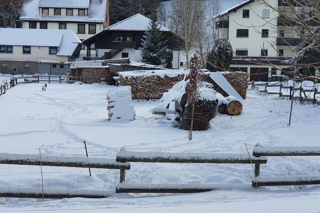 Black Forest Kuckucksnest Schönwalde Extérieur photo