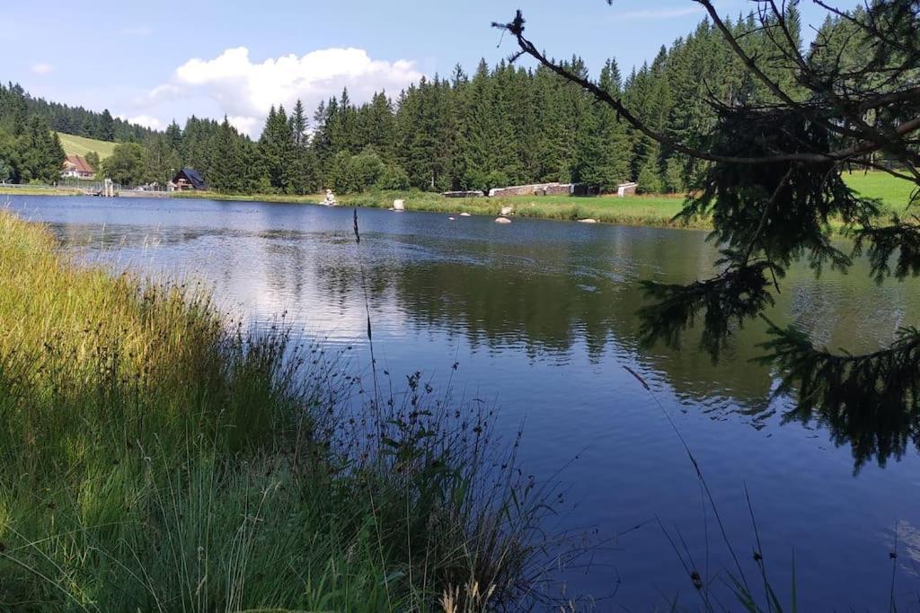 Black Forest Kuckucksnest Schönwalde Extérieur photo