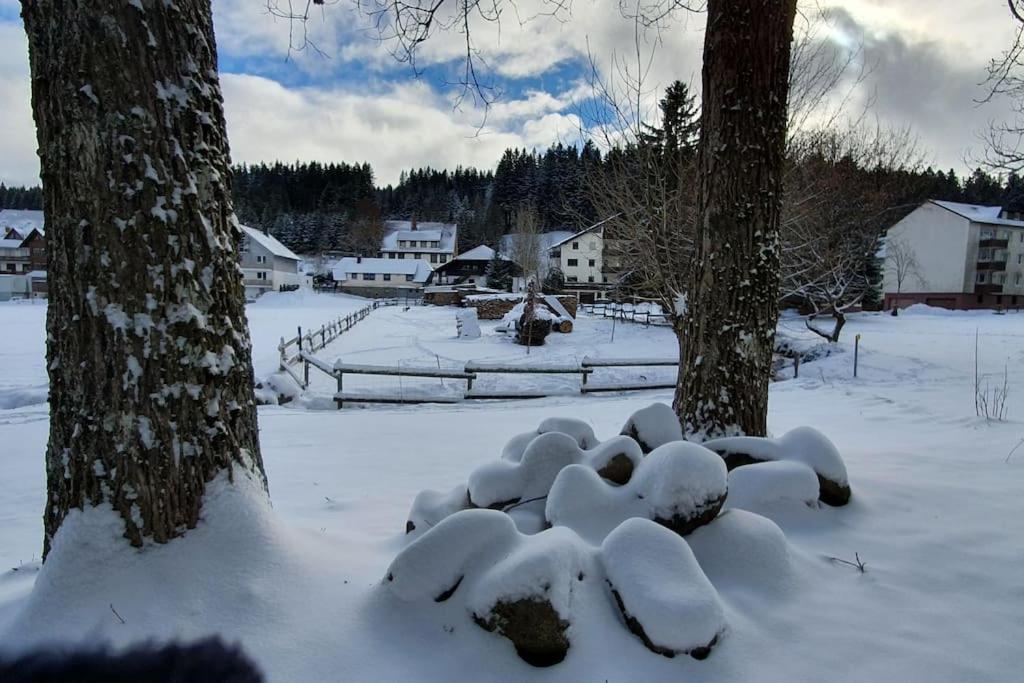 Black Forest Kuckucksnest Schönwalde Extérieur photo